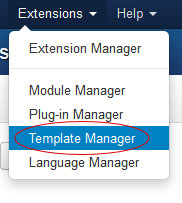 Template Style Manager